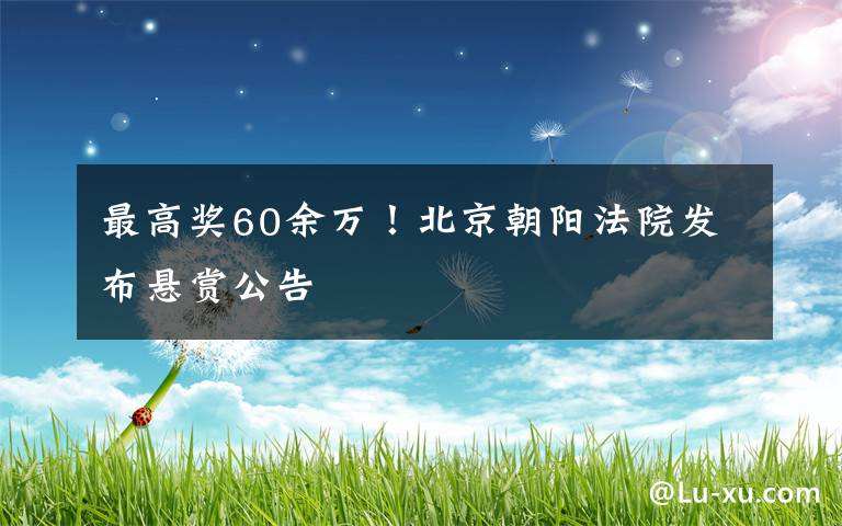 最高奖60余万!北京朝阳法院发布悬赏公告