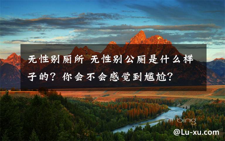 无性别厕所 无性别公厕是什么样子的?你会不会感觉到尴尬?