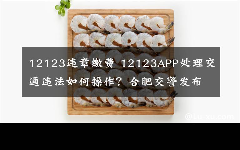 12123违章缴费 12123APP处理交通违法如何操作？合肥交警发布攻略