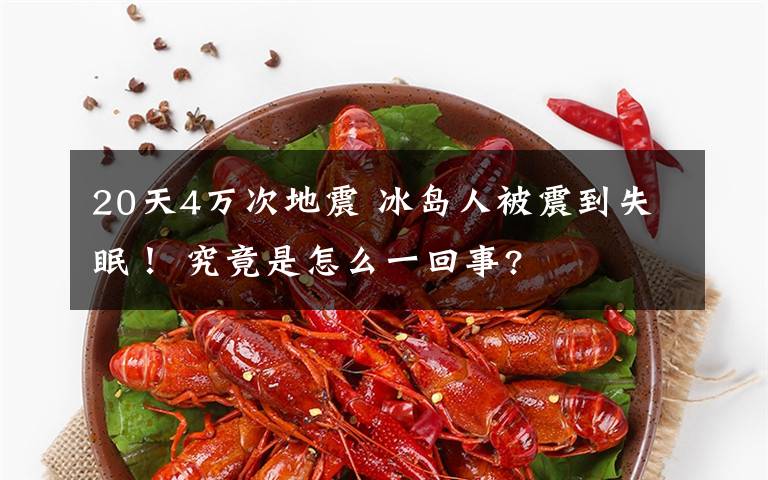 20天4万次地震 冰岛人被震到失眠! 究竟是怎么一回事?