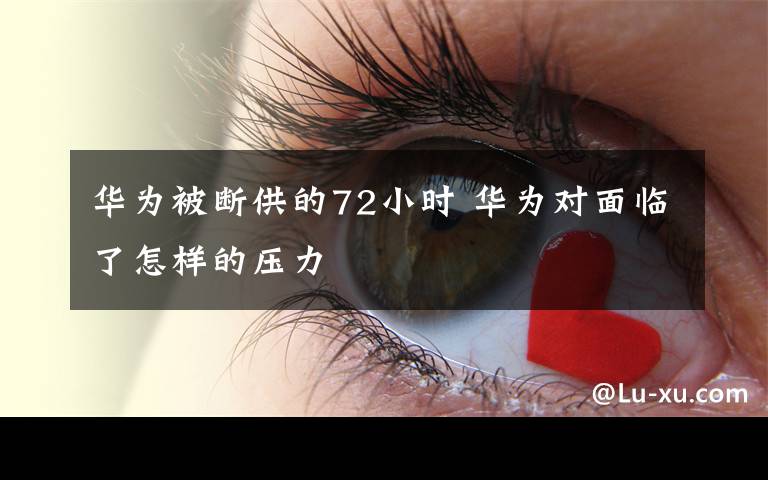 华为被断供的72小时 华为对面临了怎样的压力