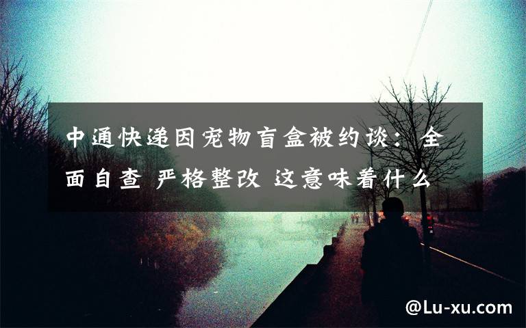 中通快递因宠物盲盒被约谈:全面自查 严格整改 这意味着什么?