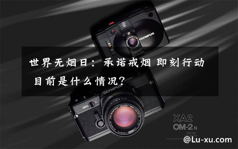 世界无烟日:承诺戒烟 即刻行动 目前是什么情况?