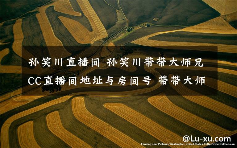 孙笑川直播间 孙笑川带带大师兄CC直播间地址与房间号 带带大师兄是什么梗