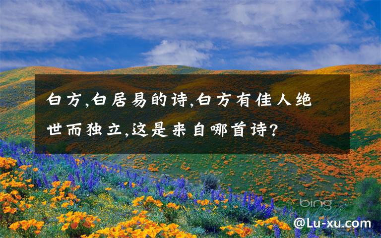 白方,白居易的诗,白方有佳人绝世而独立,这是来自哪首诗?