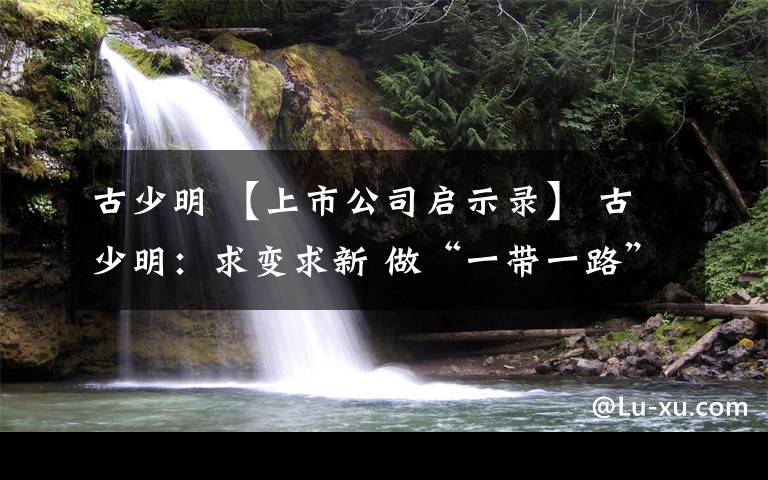 古少明 【上市公司启示录】 古少明:求变求新 做“一带一路”民企先锋