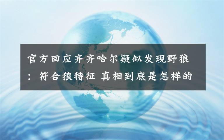 官方回应齐齐哈尔疑似发现野狼：符合狼特征 真相到底是怎样的？