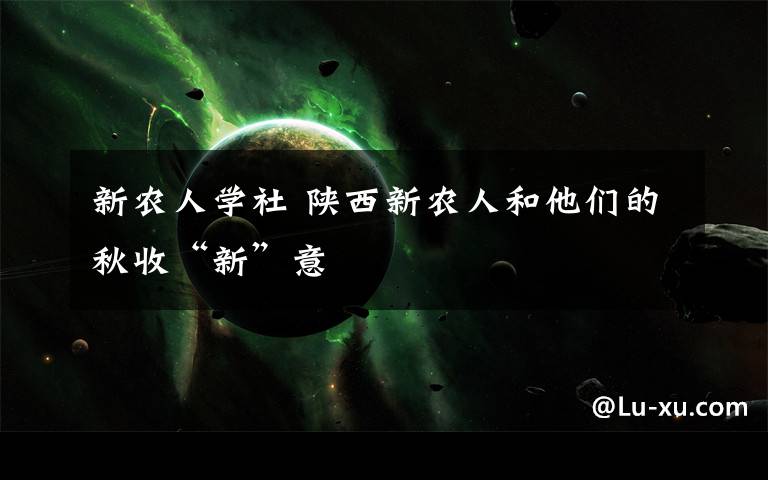 新农人学社 陕西新农人和他们的秋收“新”意