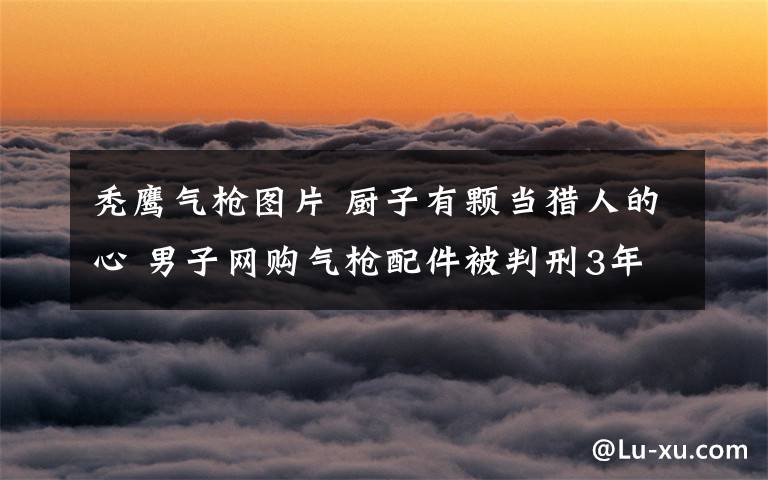 秃鹰气枪图片 厨子有颗当猎人的心 男子网购气枪配件被判刑3年