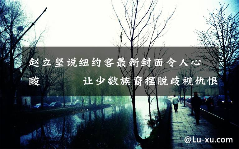 赵立坚说纽约客最新封面令人心酸    让少数族裔摆脱歧视仇恨犯罪的噩梦 登上网络热搜了!