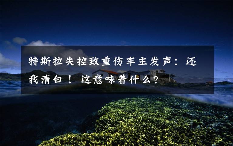 特斯拉失控致重伤车主发声:还我清白! 这意味着什么?