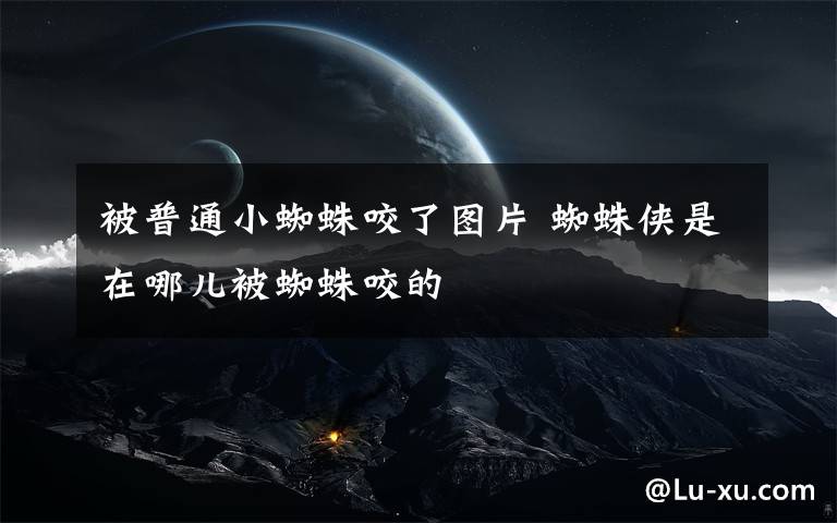被普通小蜘蛛咬了图片 蜘蛛侠是在哪儿被蜘蛛咬的