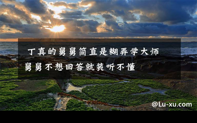 丁真的舅舅简直是糊弄学大师 舅舅不想回答就装听不懂