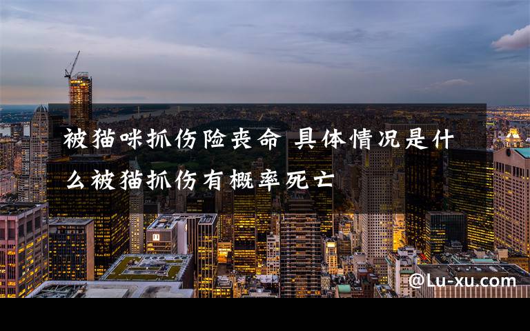 被猫咪抓伤险丧命 具体情况是什么被猫抓伤有概率死亡