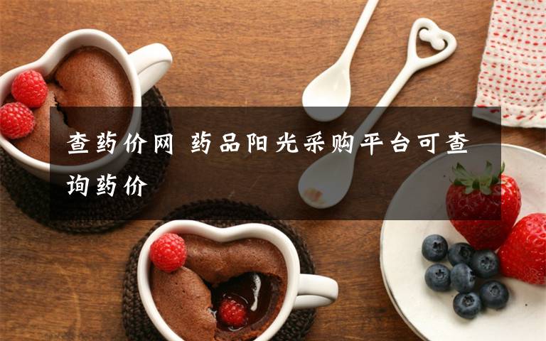 查药价网 药品阳光采购平台可查询药价