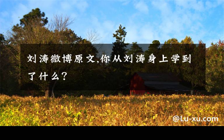 刘涛微博原文,你从刘涛身上学到了什么?