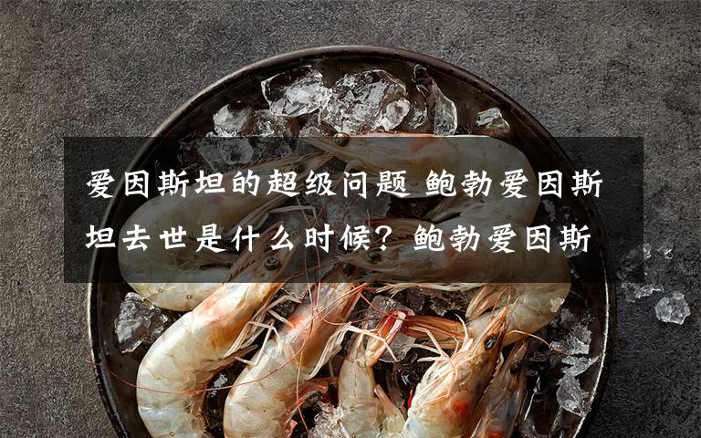 爱因斯坦的超级问题 鲍勃爱因斯坦去世是什么时候?鲍勃爱因斯坦因为什么去世