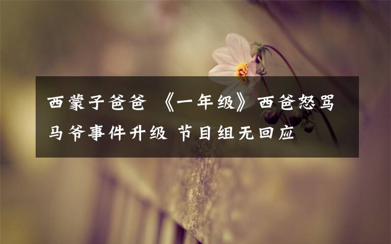 西蒙子爸爸 《一年级》西爸怒骂马爷事件升级 节目组无回应