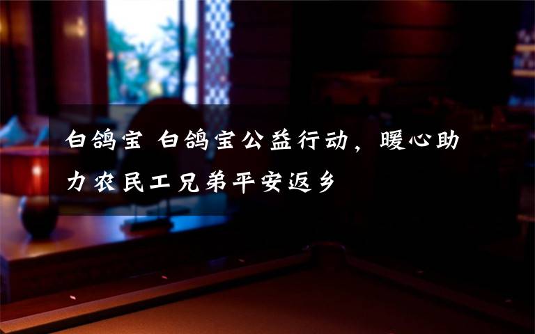 白鸽宝 白鸽宝公益行动,暖心助力农民工兄弟平安返乡