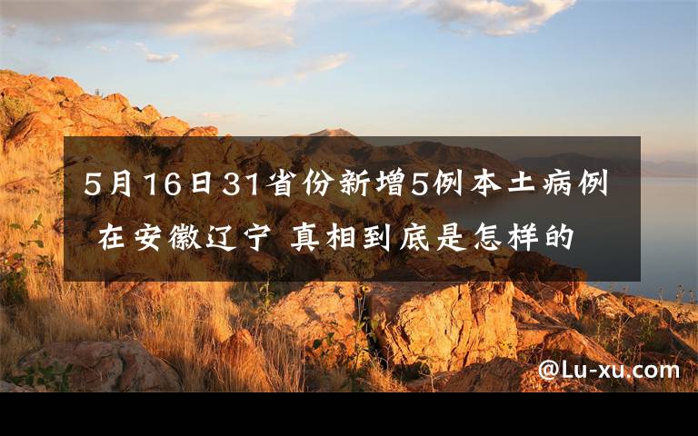 5月16日31省份新增5例本土病例 在安徽辽宁 真相到底是怎样的?