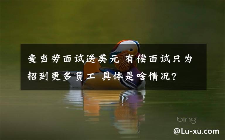 麦当劳面试送美元 有偿面试只为招到更多员工 具体是啥情况?