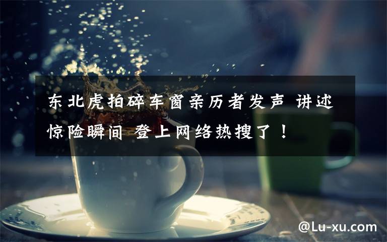 东北虎拍碎车窗亲历者发声 讲述惊险瞬间 登上网络热搜了！