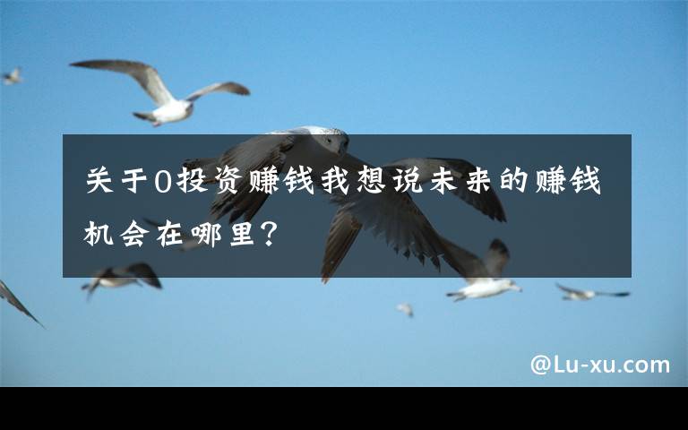关于0投资赚钱我想说未来的赚钱机会在哪里?