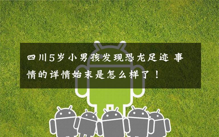 四川5岁小男孩发现恐龙足迹 事情的详情始末是怎么样了!