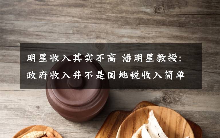 明星收入其实不高 潘明星教授:政府收入并不是国地税收入简单相加