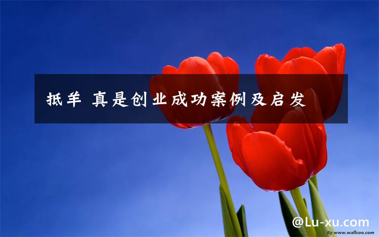 抵羊 真是创业成功案例及启发