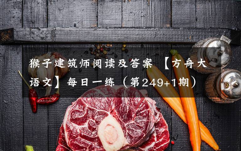 猴子建筑师阅读及答案 【方舟大语文】每日一练(第249+1期)