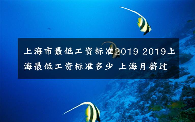 上海市最低工资标准2019 2019上海最低工资标准多少 上海月薪过万比例多高