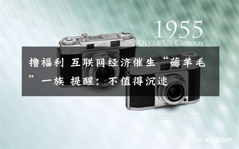 撸福利 互联网经济催生“薅羊毛”一族 提醒:不值得沉迷