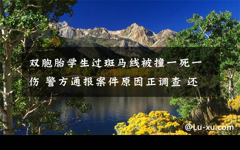 双胞胎学生过斑马线被撞一死一伤 警方通报案件原因正调查 还原事发经过及背后原因!