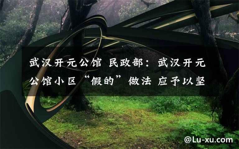 武汉开元公馆 民政部:武汉开元公馆小区“假的”做法 应予以坚决纠正