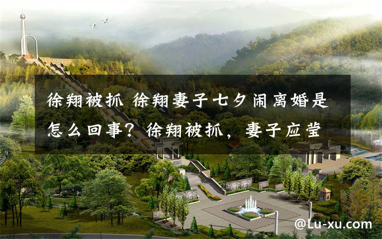 徐翔被抓 徐翔妻子七夕闹离婚是怎么回事?徐翔被抓,妻子应莹跟他离婚原因曝光