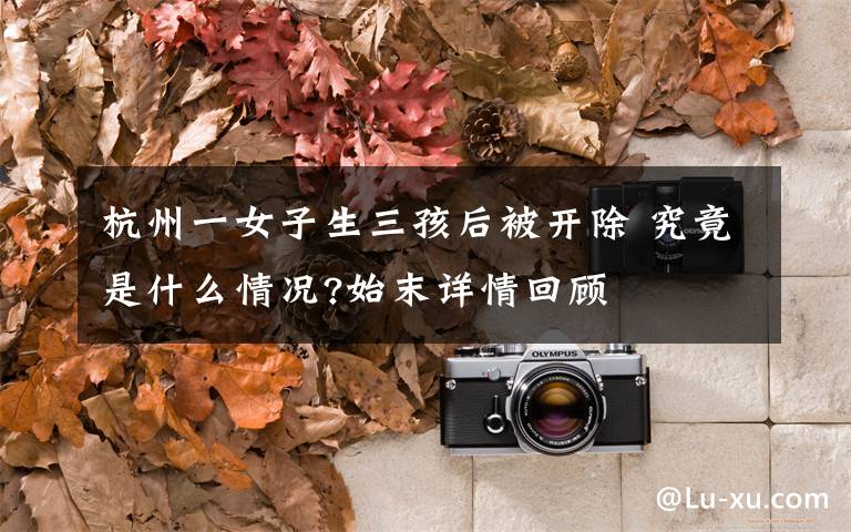 杭州一女子生三孩后被开除 究竟是什么情况?始末详情回顾