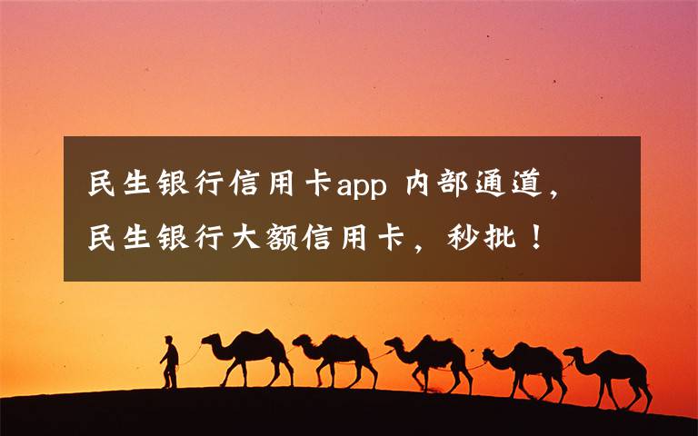 民生银行信用卡app 内部通道,民生银行大额信用卡,秒批!