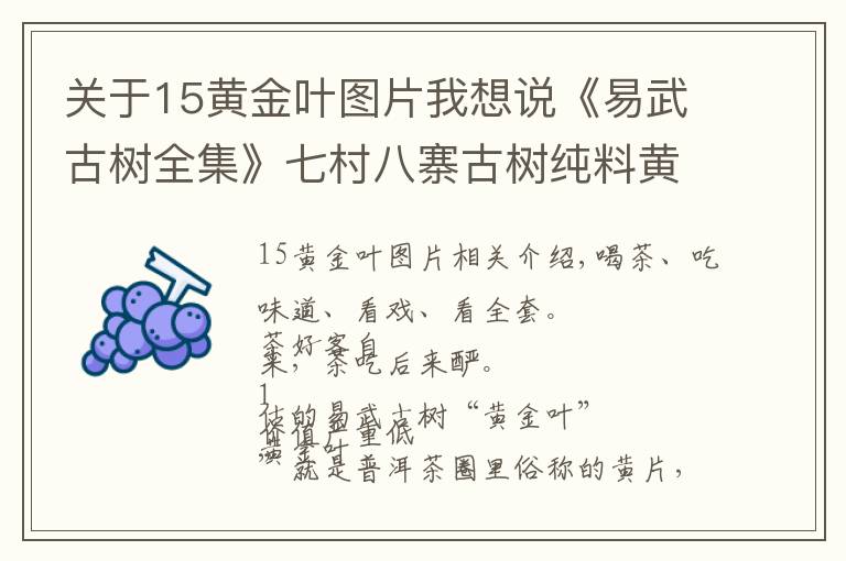 关于15黄金叶图片我想说《易武古树全集》七村八寨古树纯料黄金叶大全(7.5斤/套)