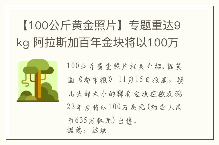 【100公斤黄金照片】专题重达9kg 阿拉斯加百年金块将以100万美元价格拍卖