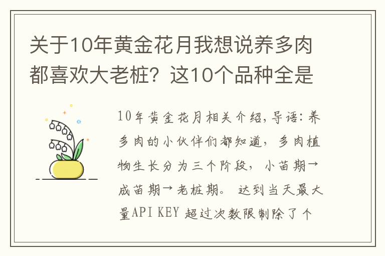 关于10年黄金花月我想说养多肉都喜欢大老桩?这10个品种全是“大粗腿”,越养越好看!