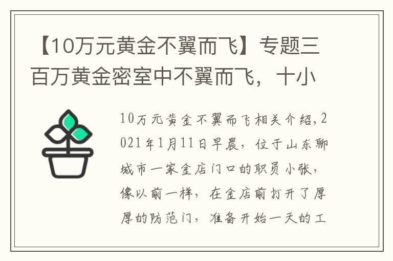 【10万元黄金不翼而飞】专题三百万黄金密室中不翼而飞，十小时破案了！