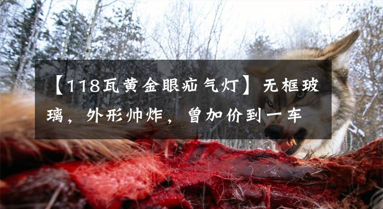 【118瓦黄金眼疝气灯】无框玻璃,外形帅炸,曾加价到一车难求,如今少8万为何没人要了