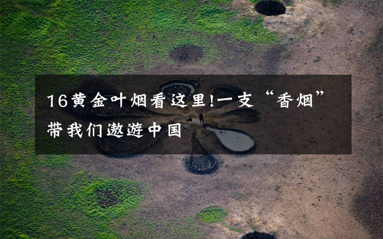 16黄金叶烟看这里!一支“香烟”带我们遨游中国