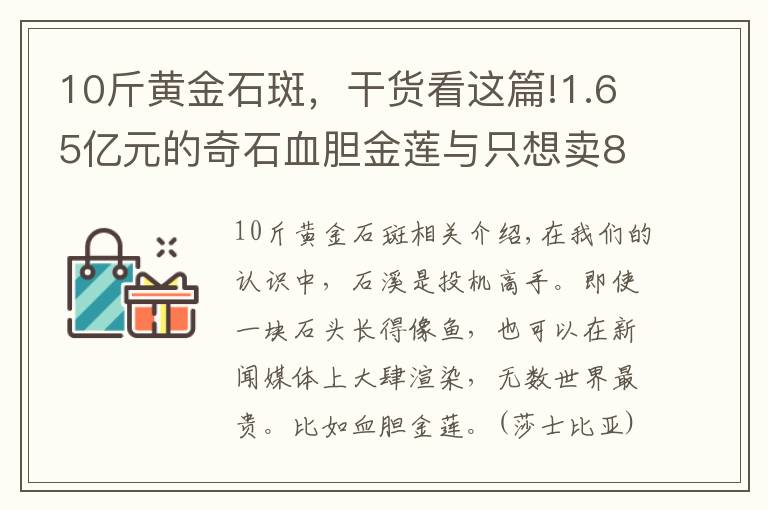 10斤黄金石斑,干货看这篇!1.65亿元的奇石血胆金莲与只想卖8888的石斑鱼