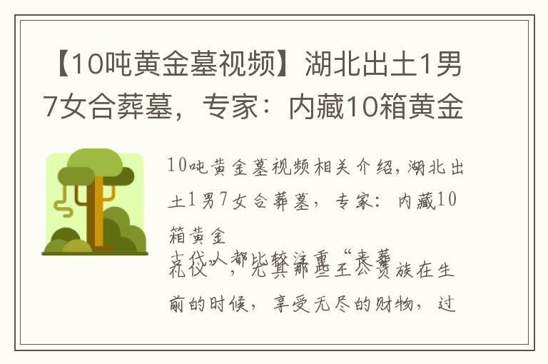 【10吨黄金墓视频】湖北出土1男7女合葬墓,专家:内藏10箱黄金