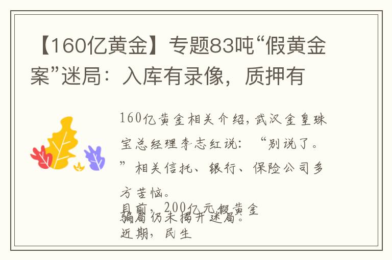 【160亿黄金】专题83吨“假黄金案”迷局:入库有录像,质押有检测,谁在造假?