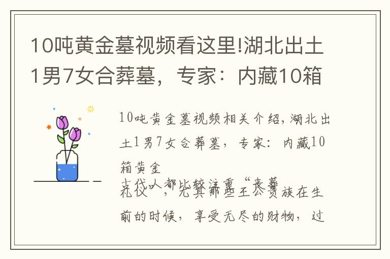 10吨黄金墓视频看这里!湖北出土1男7女合葬墓，专家：内藏10箱黄金