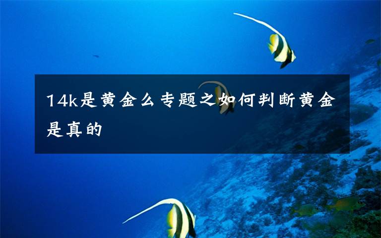14k是黄金么专题之如何判断黄金是真的