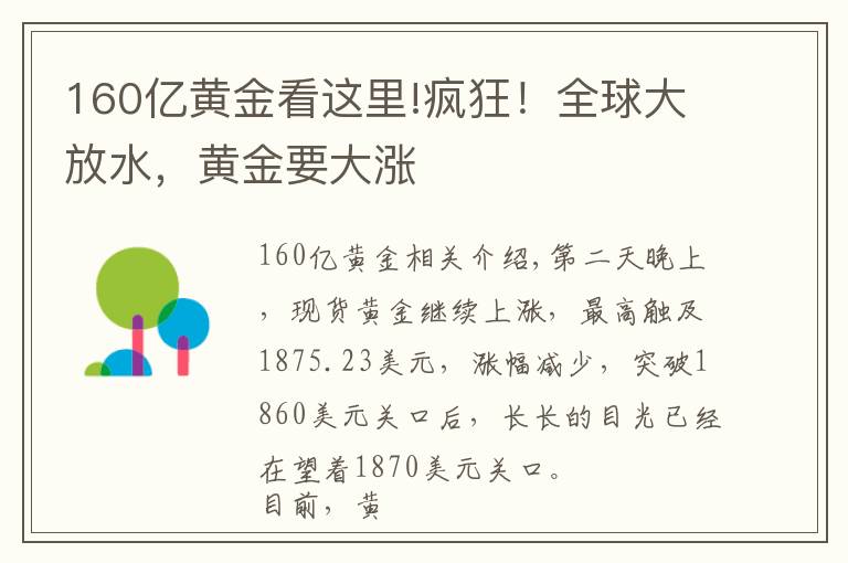 160亿黄金看这里!疯狂!全球大放水,黄金要大涨